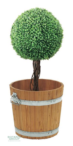 Plant container wood