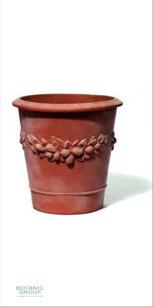 Terracotta Planter - Vaso Camelia frutta