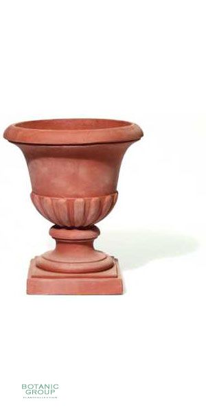 Terracotta Planter - Pokal