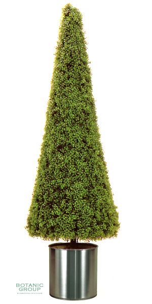 Kunstpflanze - Buchsbaum, pyramidal