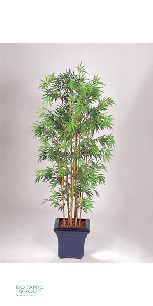Artificial plant - Bambus Pseudosasa japonica