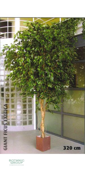 Kunstpflanze - Ficus benjamini giant