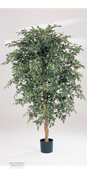 Kunstpflanze - Ficus folia