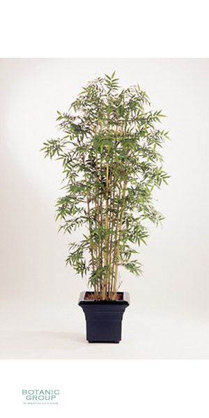Kunstpflanze - Bambus Pseudosasa