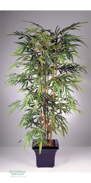 Kunstpflanze - Bambus ELEGANCE