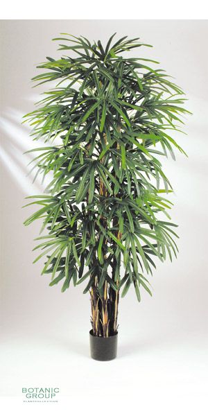 Kunstpflanze - Rhapis gracilis