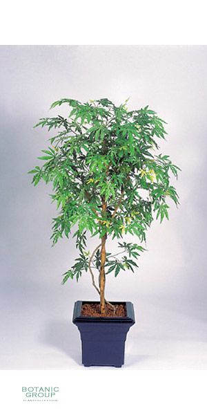 Artificial plant - Acer palmatum