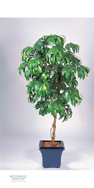 Kunstpflanze - Mangobaum