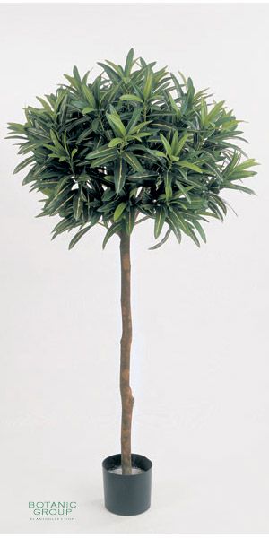Kunstpflanze - Croton Goldfinger Stamm