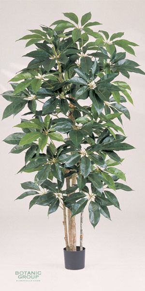 Kunstpflanze - Schefflera Giant