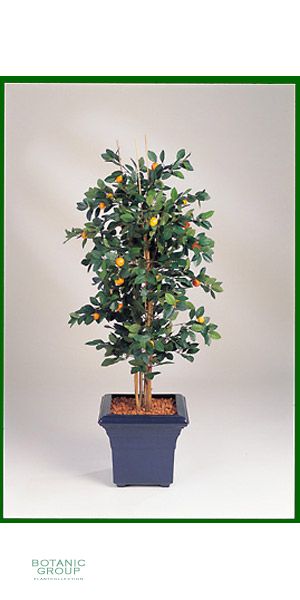 Kunstpflanze - Citrus calamondin