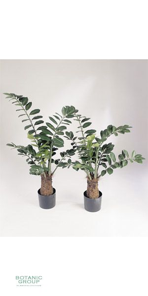 Artificial plant - Ficus smaragd