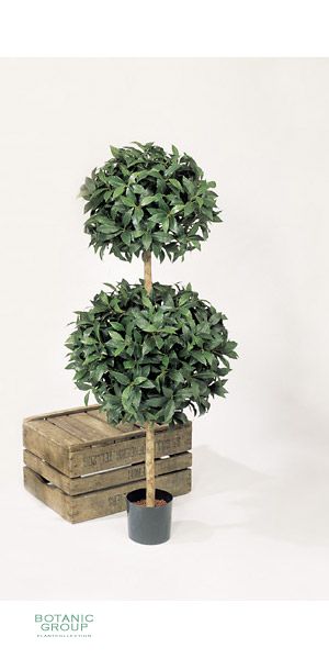 Artificial plant - Laurus DOUBLE BALL