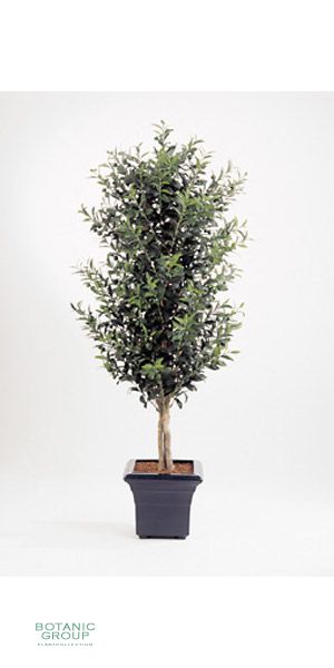 Artificial plant - Olea europea