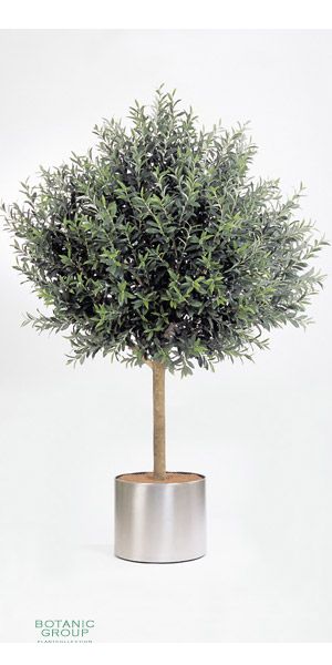 Kunstpflanze - Olea europea II