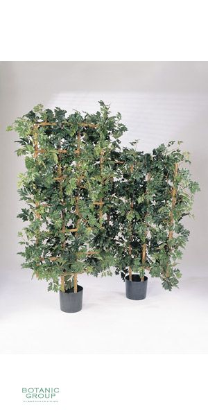 Artificial plant - Cissus Wall