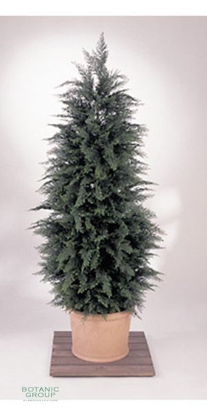 Artificial plant - Cedar