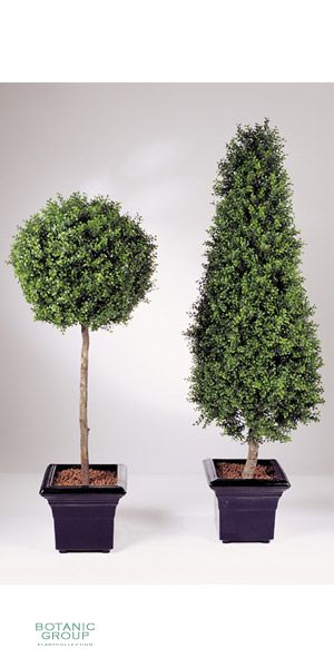 Kunstpflanze - Buchsbaum, Säule