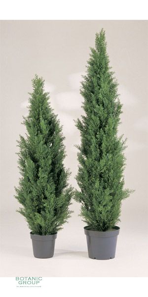 Artificial plant - Mini Cedar