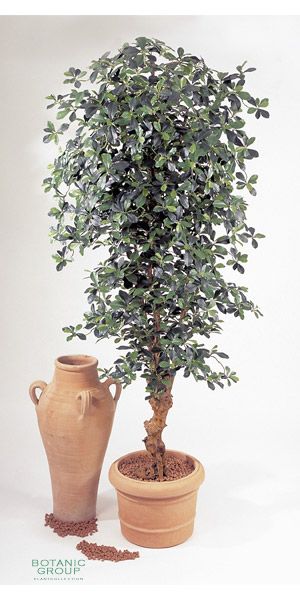 Kunstpflanze - Black Olive