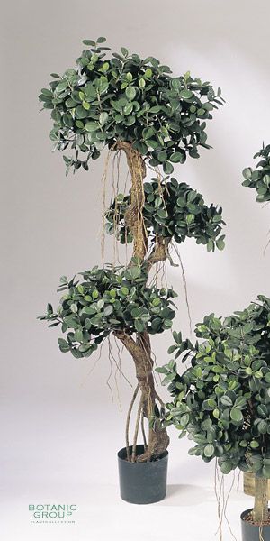 Kunstpflanze - Ficus panda Stammwuchs