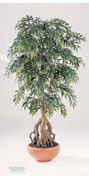 Kunstpflanze - French Ficus