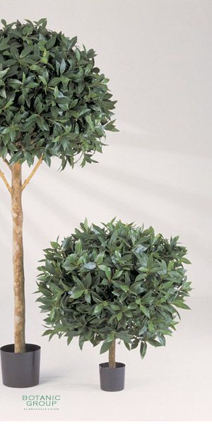 Artificial plant - Laurus nobilis ball