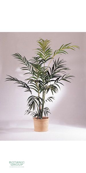 Artificial plant - Kentia palm