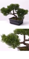 Kunstbaum - Bonsai ceder