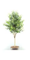 Artificial plant - olive tree with olives in plastic pot
