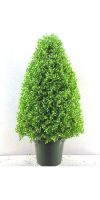 Kunstbaum - Leucodendron topiary