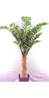 Artificial plant - Zamioculcas