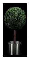 Kunstpflanze - Kugel Buchsbaum