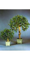 Kunstpflanze - Mandarinenbaum