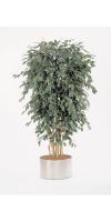 Kunstpflanze - Ficus exotica delux