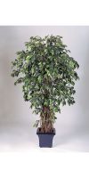 Artificial- Ficus Liana deluxe