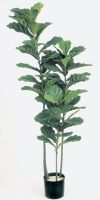 Kunstpflanze - Ficus Lyrata