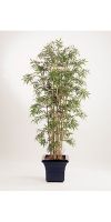 Kunstpflanze - Bambus Pseudosasa