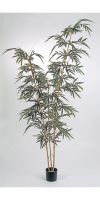 Kunstpflanze - Bambus SLIM