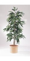Kunstpflanze - Ficus longfolia new