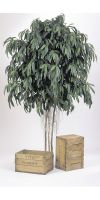 Kunstpflanze - Ficus longfolia GIANT