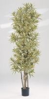 Artificial plant - Dracaena reflexa