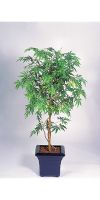 Kunstpflanze - Acer palmatum