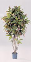 Artificial plant - Croton Reflexa