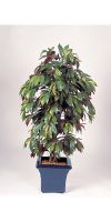 Kunstpflanze - Capensia Baum