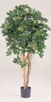 Kunstpflanze - Schefflera variegata