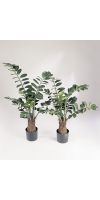 Kunstpflanze - Ficus smaragd