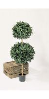 Artificial plant - Laurus DOUBLE BALL