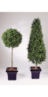 Artificial - Buxus Tower