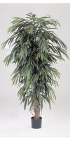 Kunstpflanze - Ficus longfolia liana